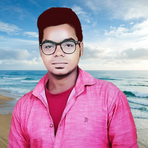 Shailesh Web Designer